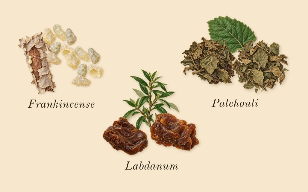 Portrait of a Lady, dry-down: Patchouli, Labdanum, Frankincense