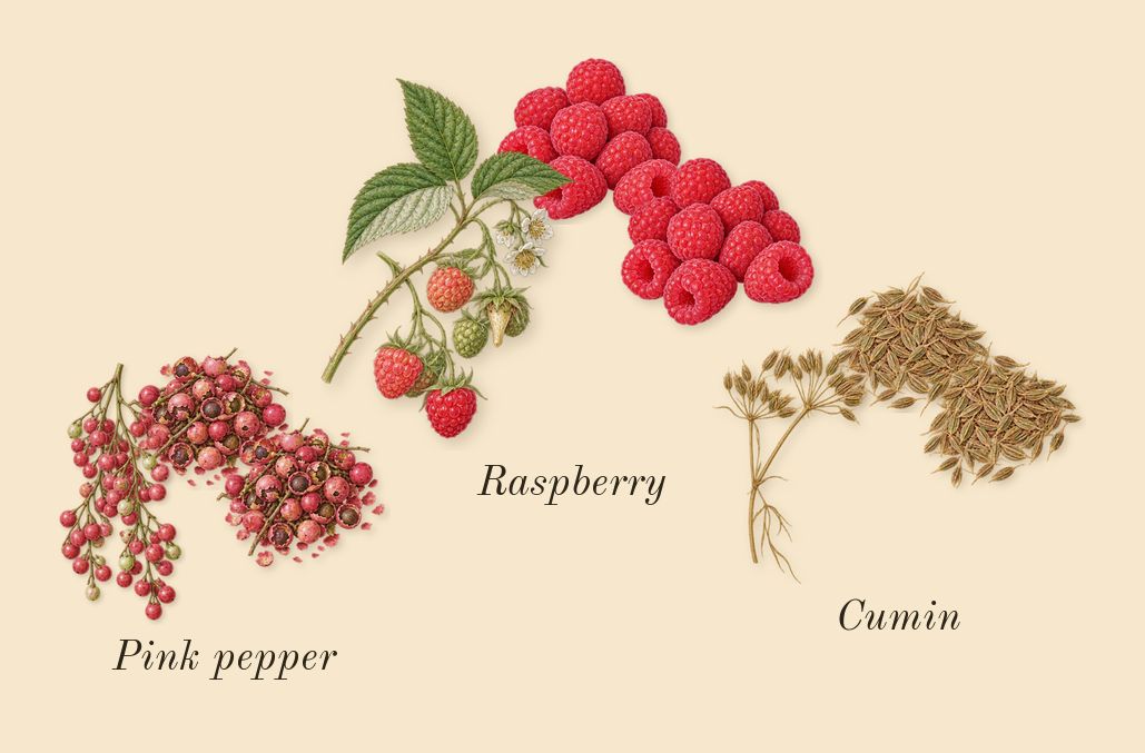 Portrait of a Lady, top notes: Raspberry, Cumin, Pink pepper