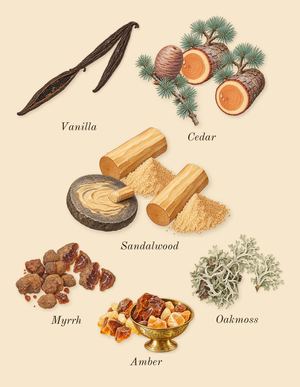 Aromatix Magnetiq, dry-down: Sandalwood, Cedar, Oakmoss, Vanilla, Myrrh, Amber