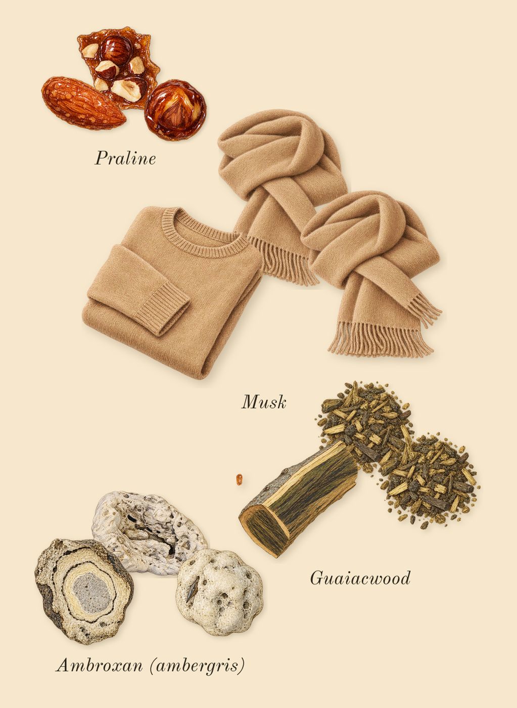 Liquid Brun, dry-down: Musk, Praline, Ambroxan (ambergris), Guaiacwood