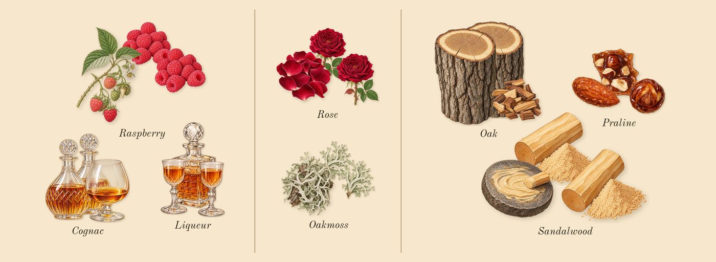 Royal Blend Sequoia’s scent picture, a draft: raspberry, liqueur, cognac, rose, oakmoss, praline drawn so far; dashed outlines where nothing is drawn yet