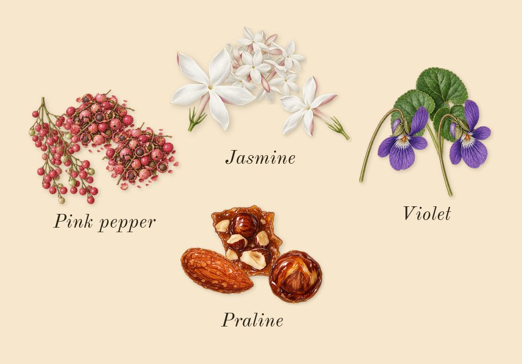Vulcan Feu, heart: Jasmine, Violet, Praline, Pink pepper