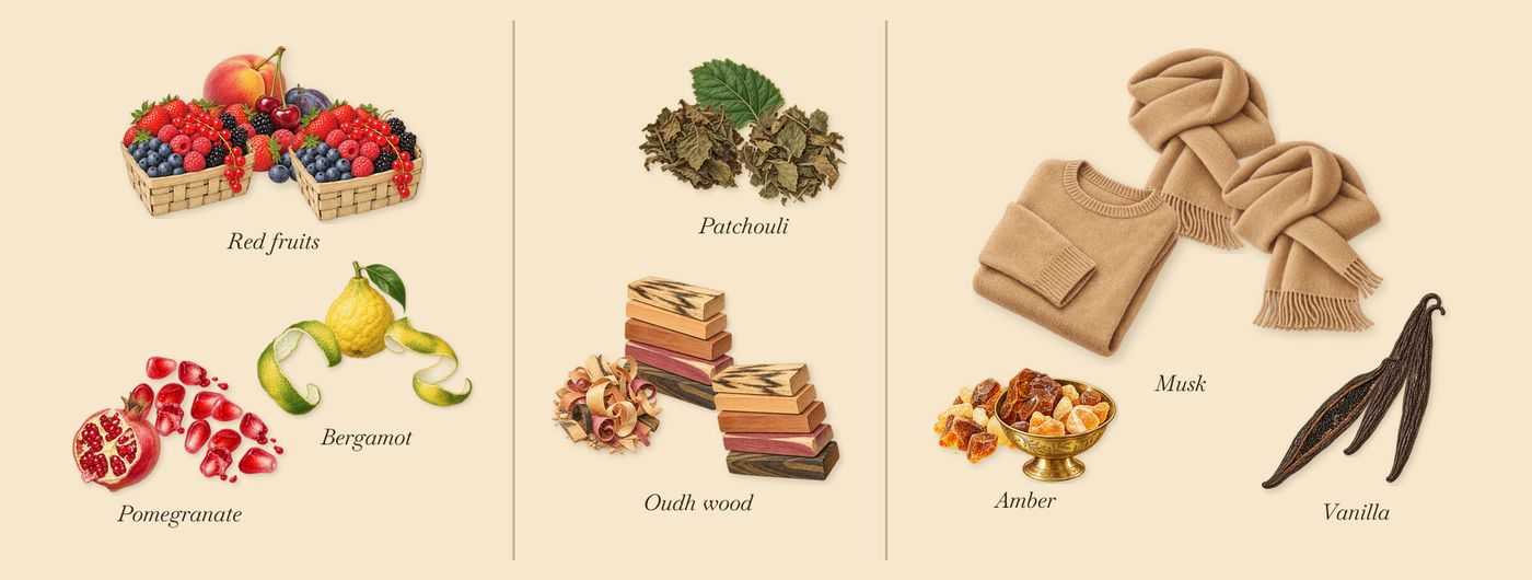 Pomegranoudh’s scent picture, a draft: pomegranate, bergamot, red fruits, oudh wood, patchouli, vanilla drawn so far; dashed outlines where nothing is drawn yet