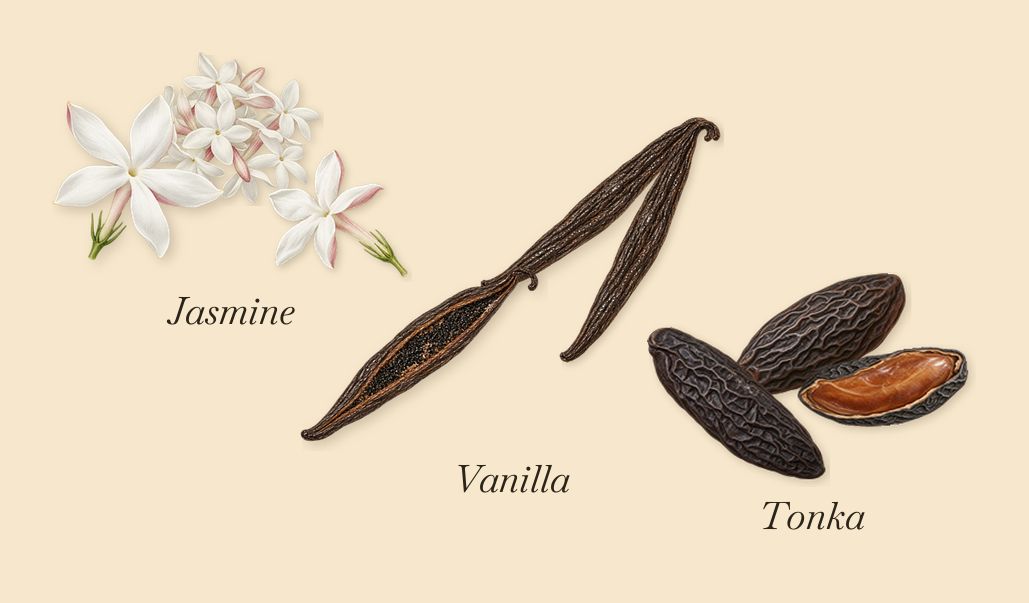 Vanilla Haze, as it settles: Vanilla, Tonka, Jasmine