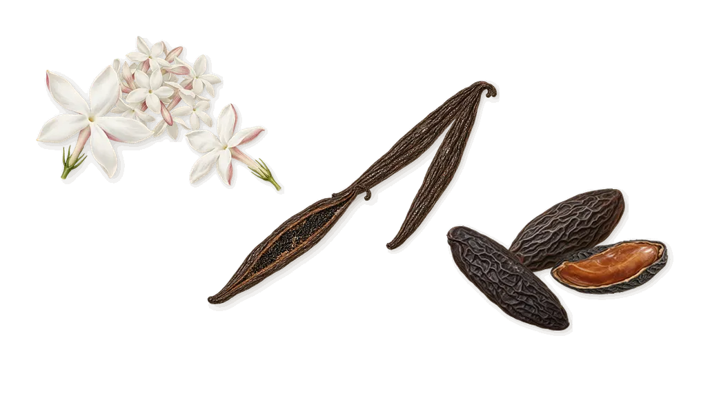 Vanilla Haze, as it settles: Vanilla, Tonka, Jasmine