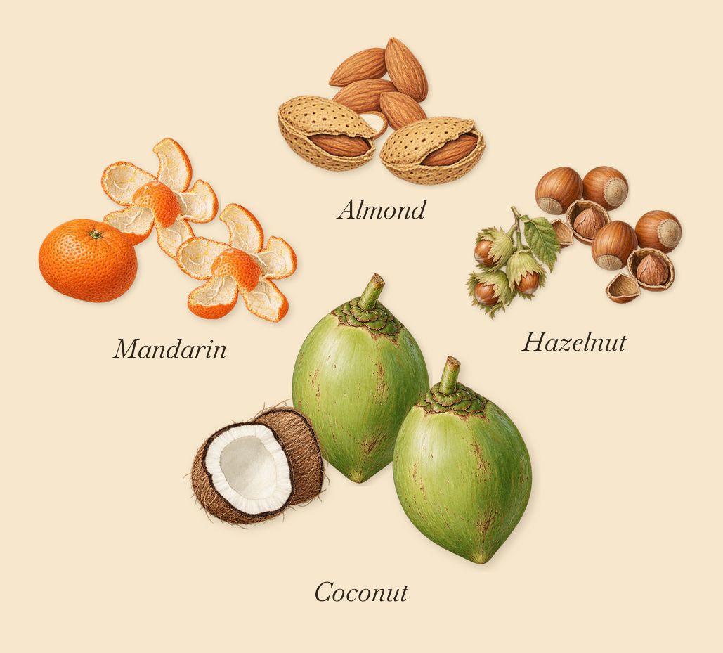Vanilla Haze, when you spray it: Mandarin, Coconut, Almond, Hazelnut