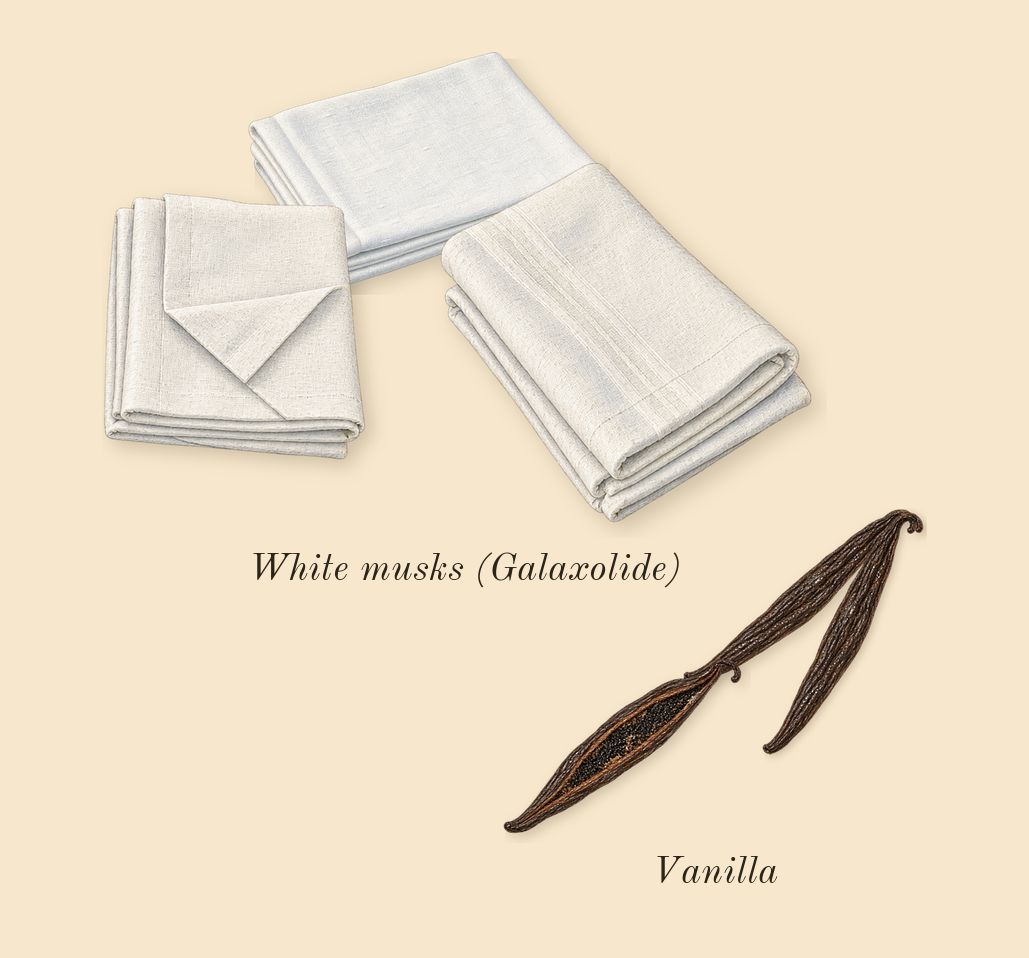 Bianco Latte, dry-down: Vanilla, White musks (Galaxolide)