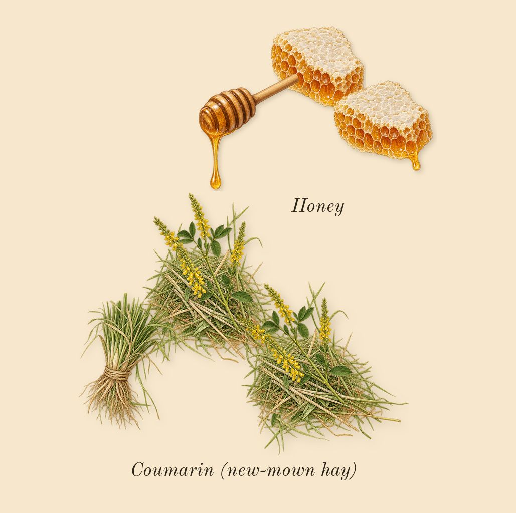 Bianco Latte, heart: Honey, Coumarin (new-mown hay)