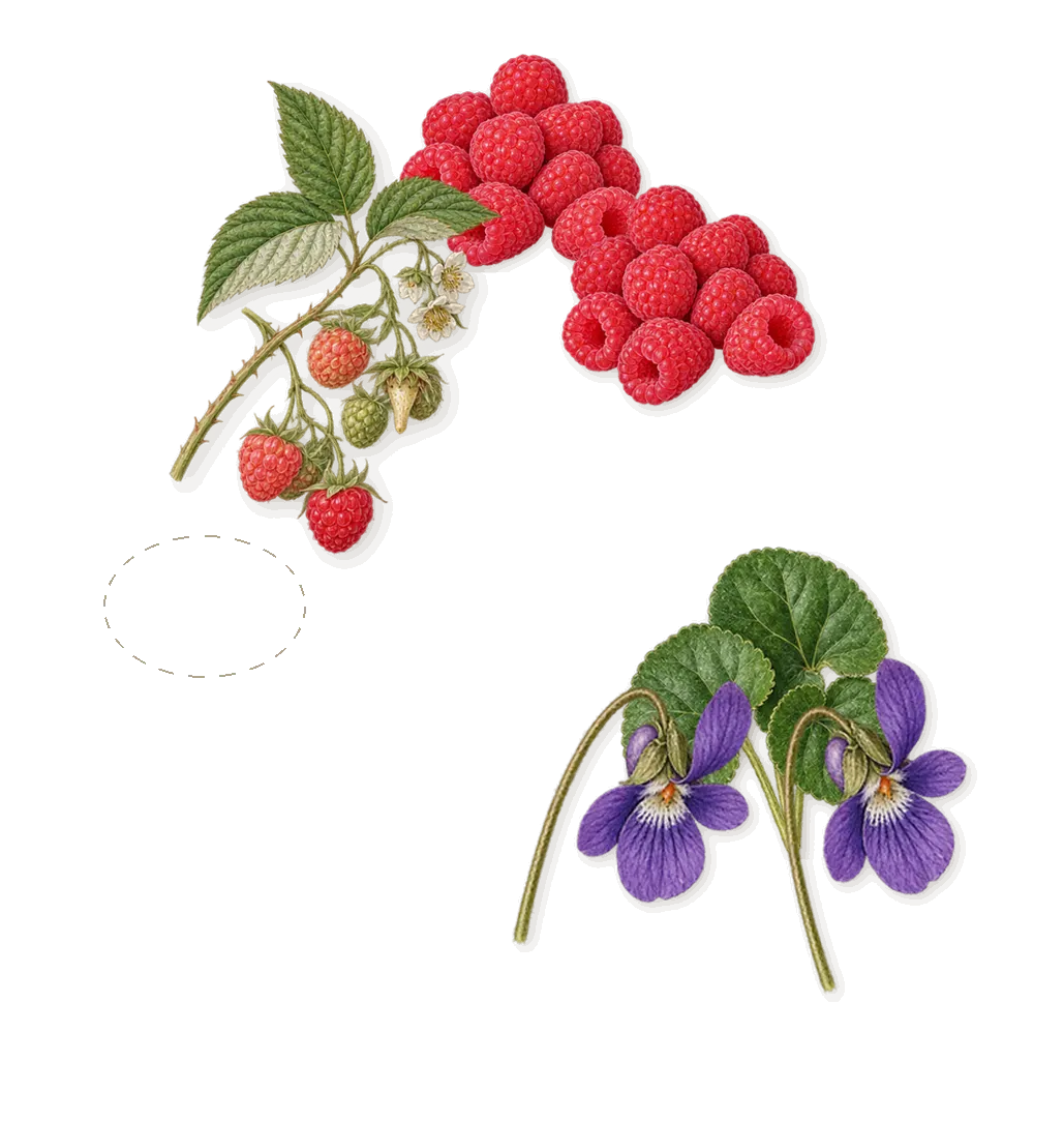 Celeste, as it settles: Violet, Raspberry, Exotic flavors