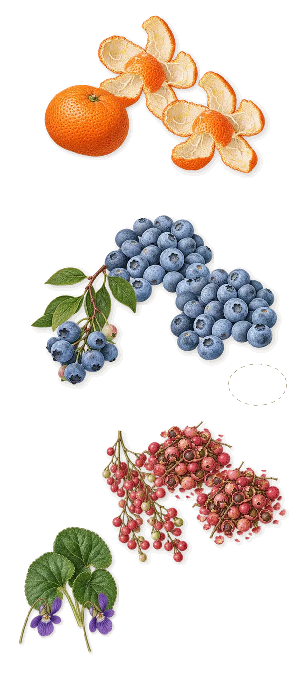 Ambassadora, when you spray it: Mandarin, Pink pepper, Blueberry, Foliage, Violet