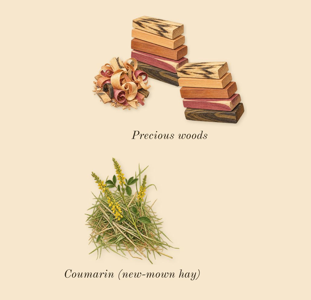 Amarige, dry-down: Precious woods, Coumarin (new-mown hay)