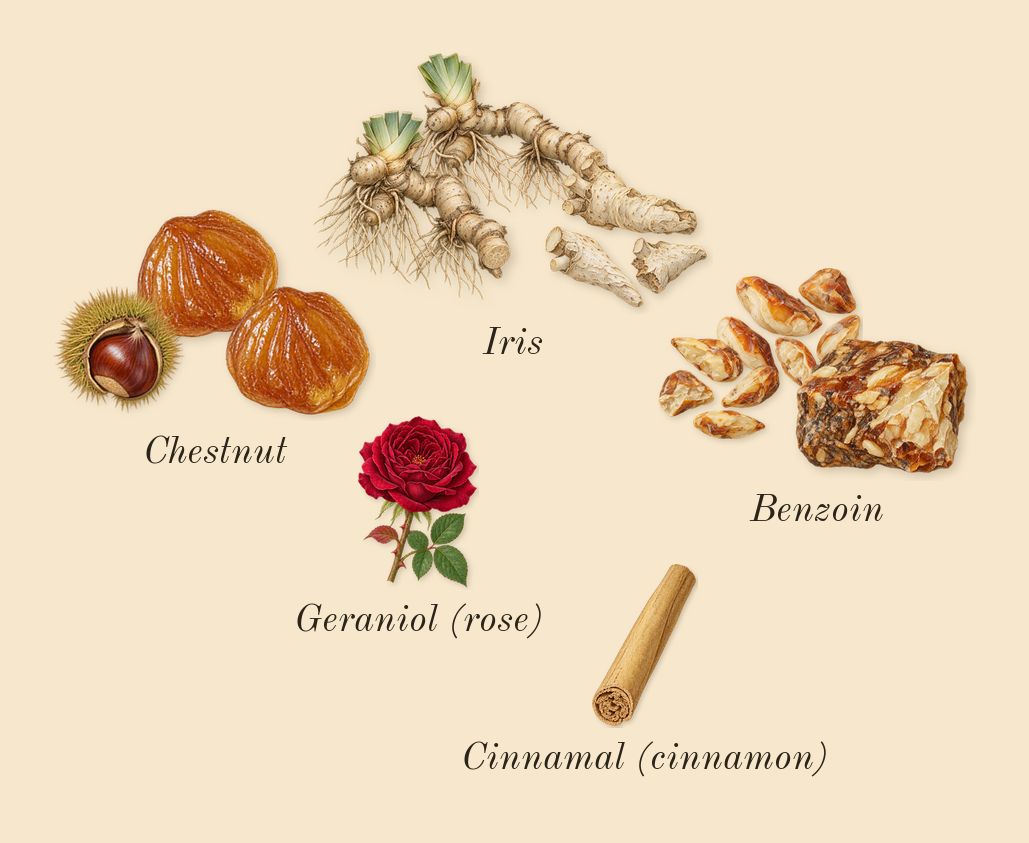 Gentleman Réserve Privée, heart: Chestnut, Iris, Benzoin, Geraniol (rose), Cinnamal (cinnamon)
