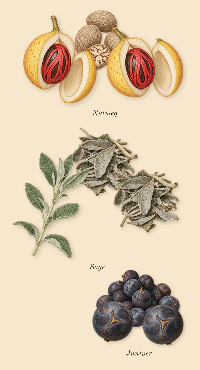 Gentleman Society Ambrée, top notes: Sage, Juniper, Nutmeg