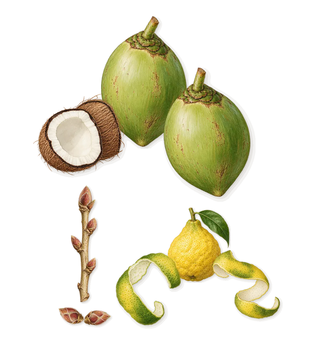 Irresistible Very Floral, when you spray it: Bergamot, Coconut, Blackcurrant