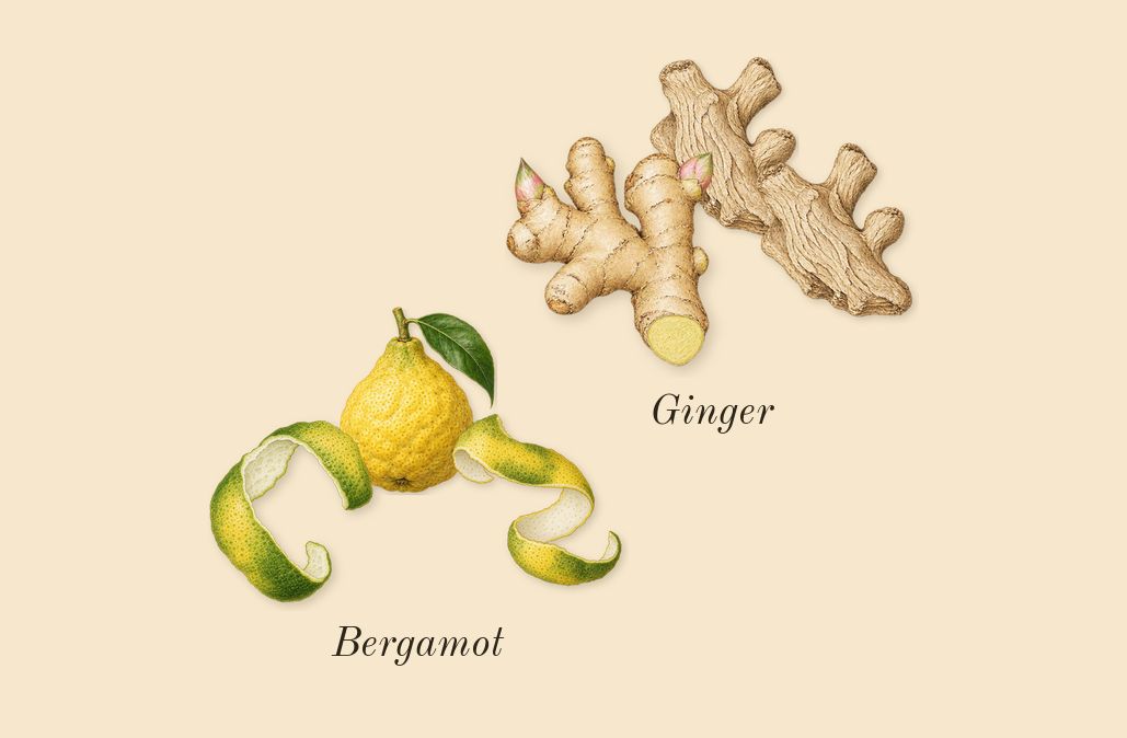 L'Interdit, top notes: Bergamot, Ginger