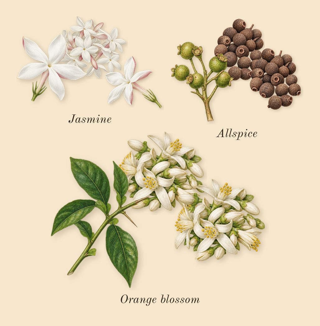 L'Interdit Rouge, heart: Orange blossom, Jasmine, Allspice