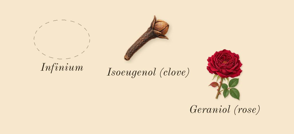 Pi, heart: Infinium, Geraniol (rose), Isoeugenol (clove)