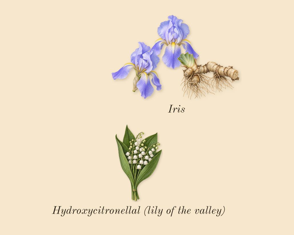 You, heart: Iris, Hydroxycitronellal (lily of the valley)