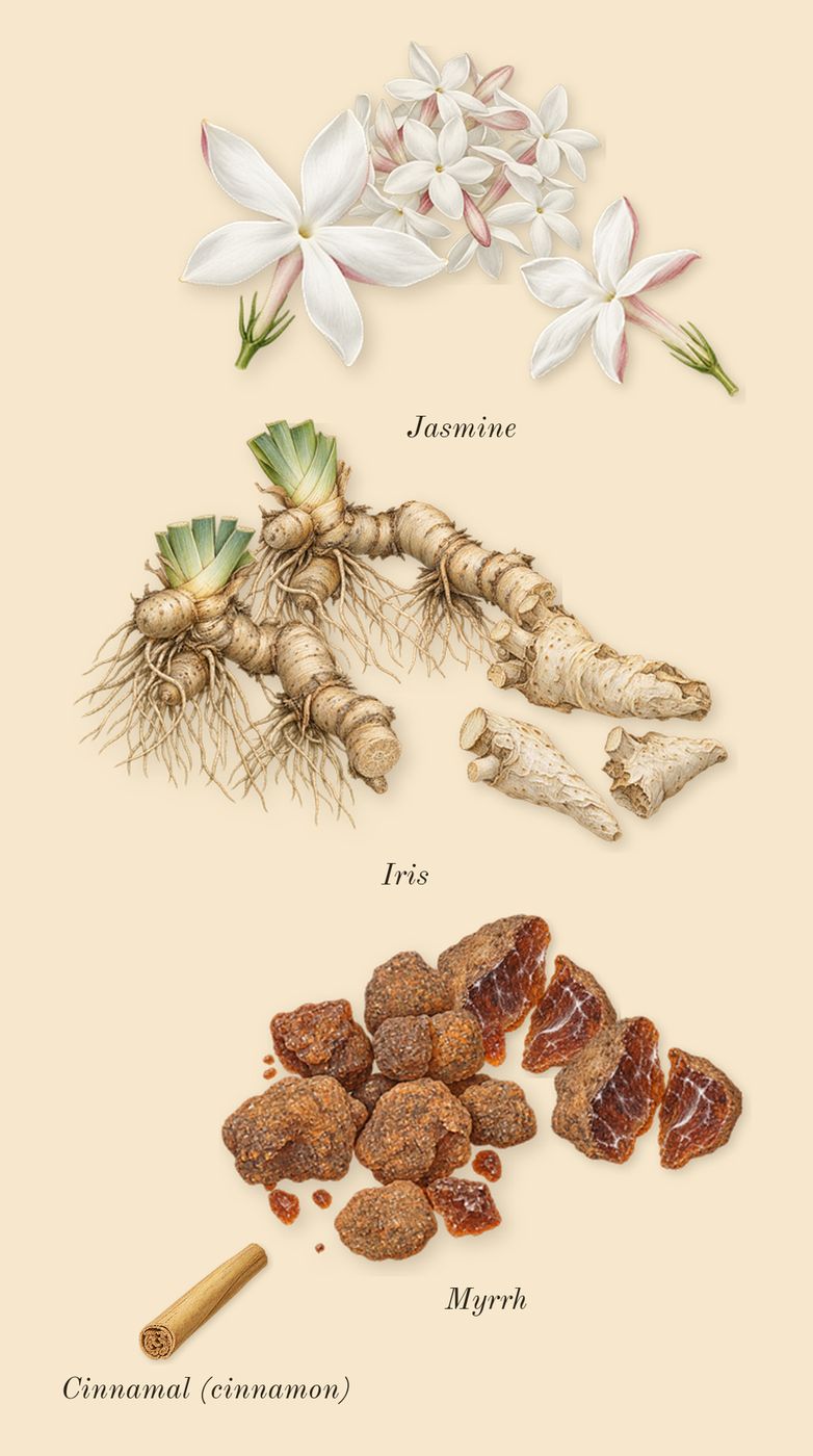 Gold Man, heart: Jasmine, Iris, Myrrh, Cinnamal (cinnamon)