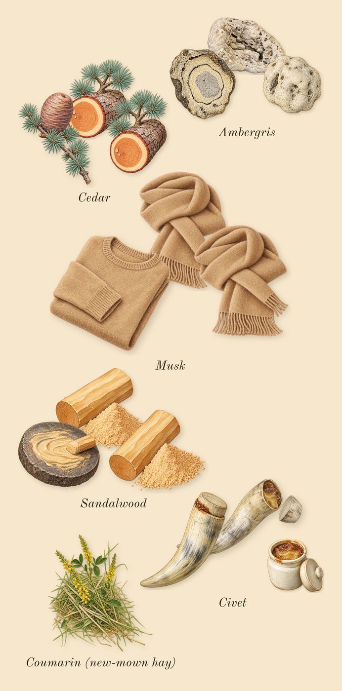 Gold Woman, dry-down: Ambergris, Civet, Musk, Cedar, Sandalwood, Coumarin (new-mown hay)