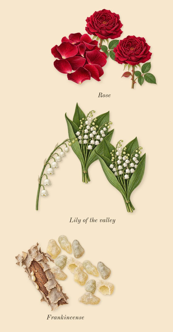 Gold Woman, top notes: Rose, Lily of the valley, Frankincense