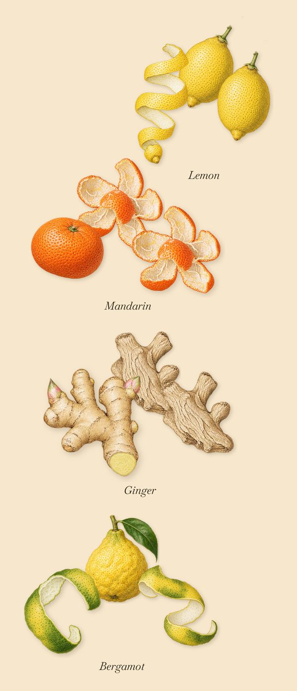 Ingenious Ginger, when you spray it: Mandarin, Ginger, Bergamot, Lemon