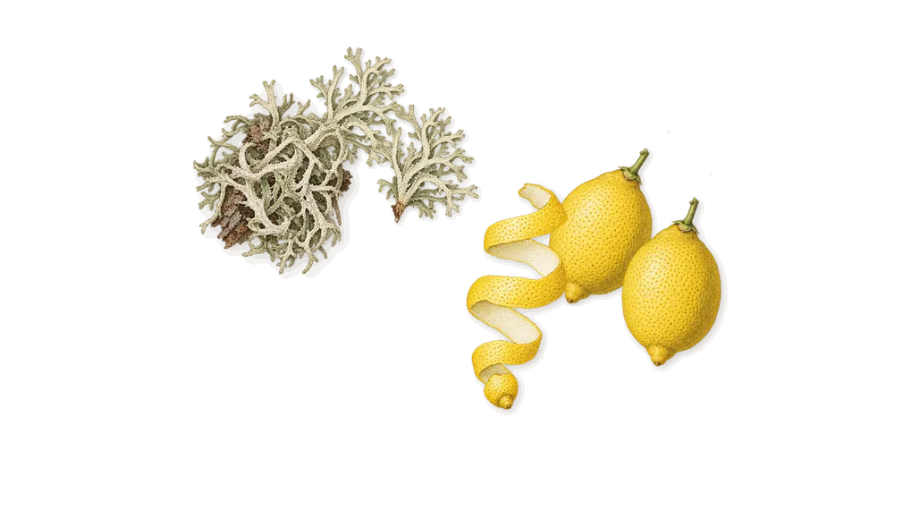 Pacific Rock Moss, when you spray it: Lemon, Oakmoss