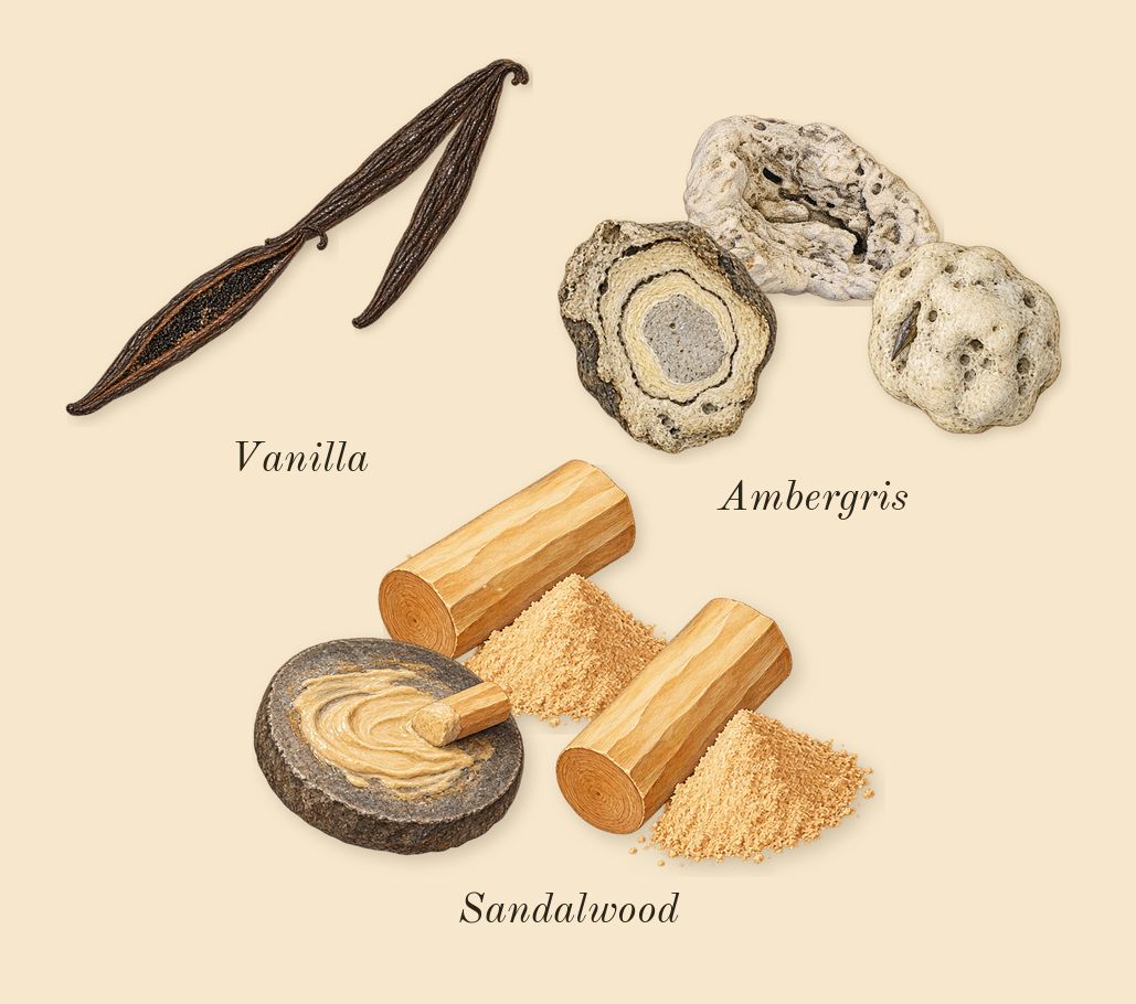 Bamboo, dry-down: Sandalwood, Vanilla, Ambergris