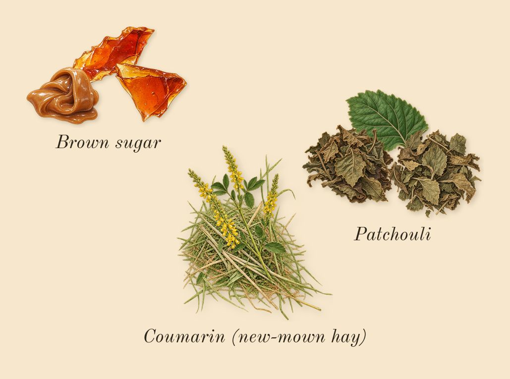 Flora Gorgeous Gardenia, dry-down: Patchouli, Brown sugar, Coumarin (new-mown hay)