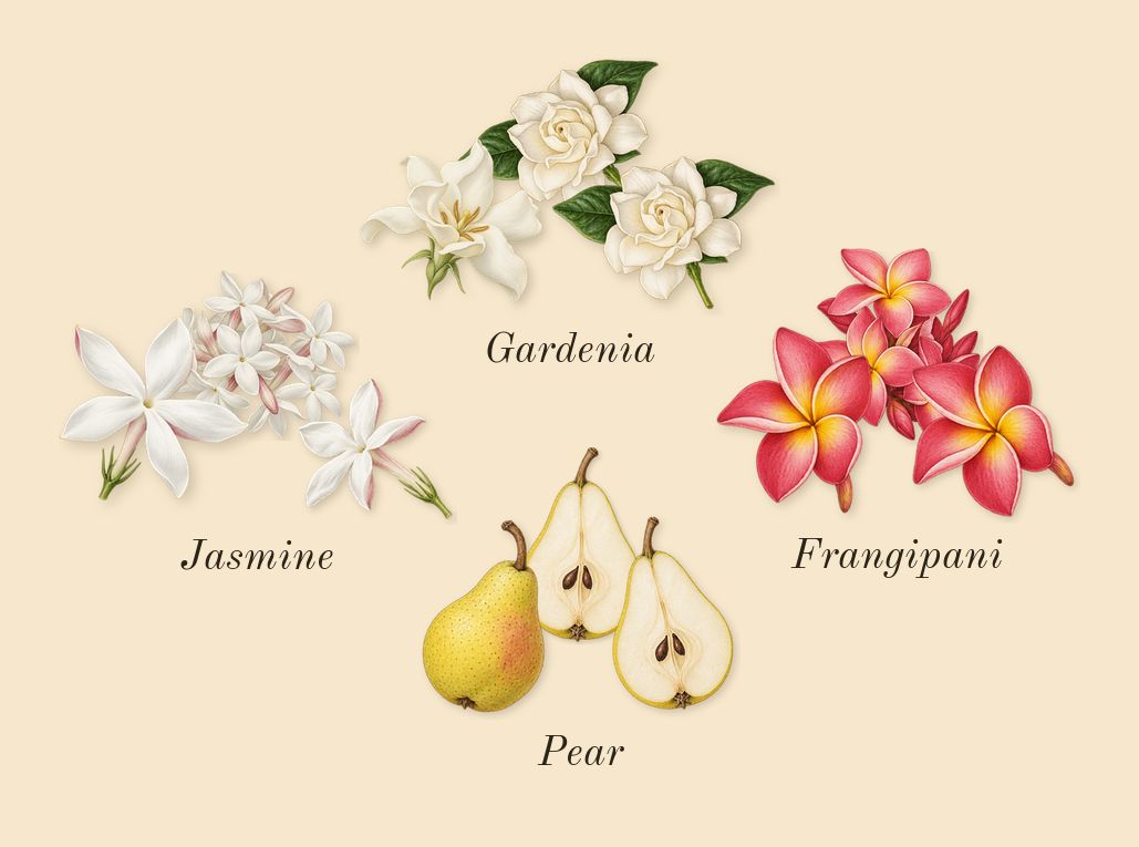 Flora Gorgeous Gardenia, heart: Gardenia, Jasmine, Frangipani, Pear