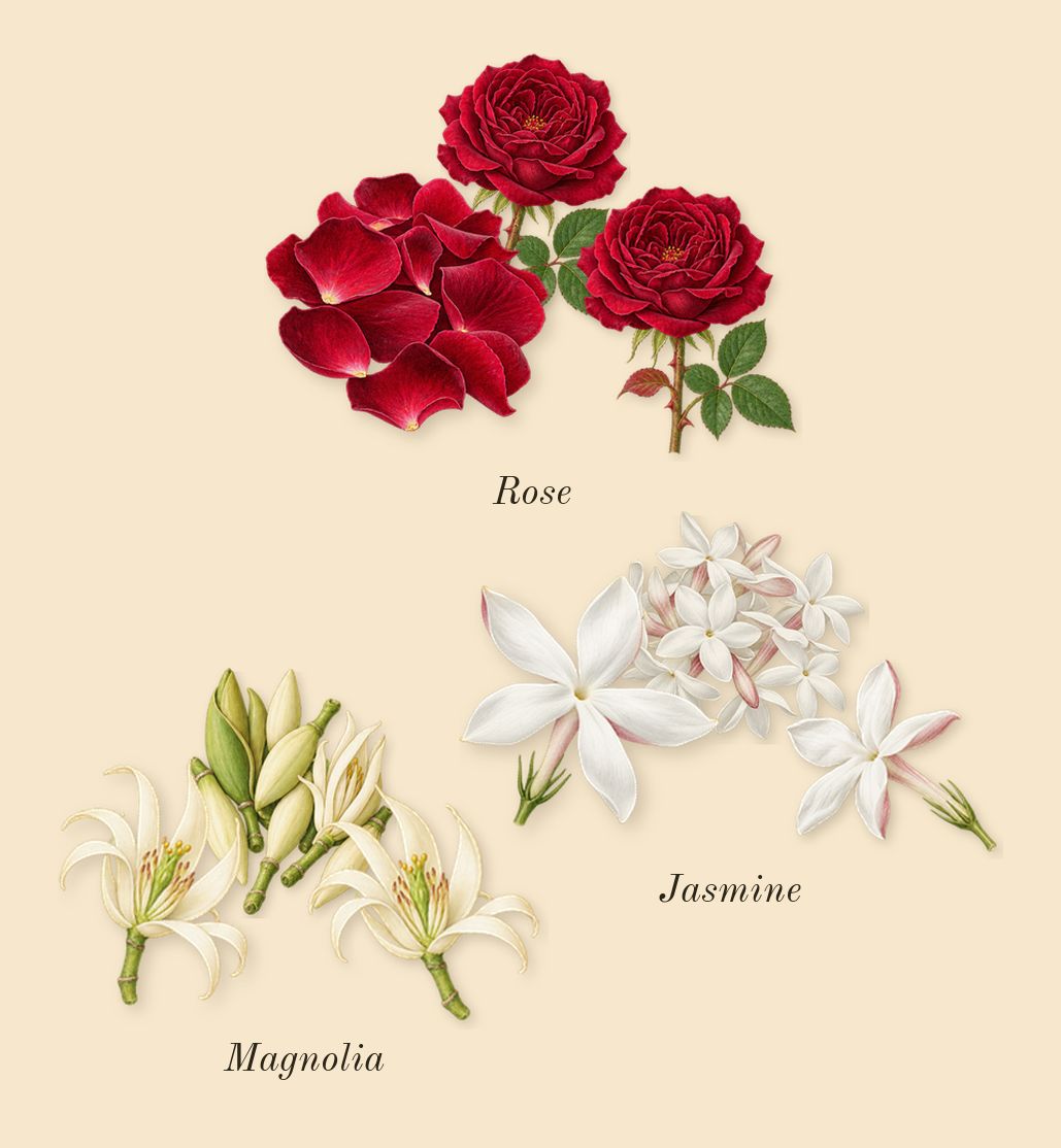 Flora Gorgeous Jasmine, heart: Jasmine, Magnolia, Rose