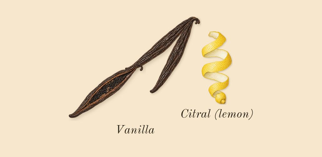 Flora Gorgeous Orchid, top notes: Vanilla, Citral (lemon)