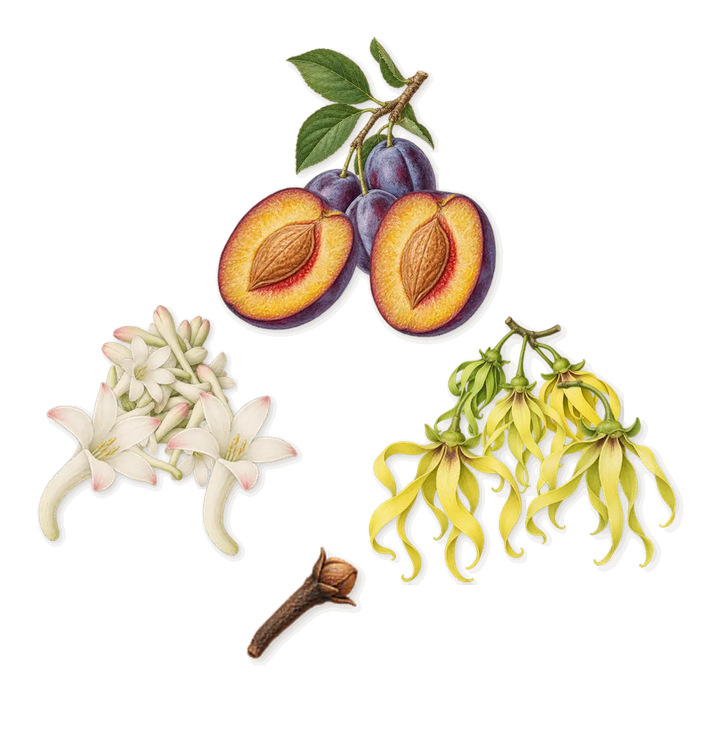 Guilty Intense Pour Femme, as it settles: Ylang-ylang, Tuberose, Plum, Eugenol (clove)