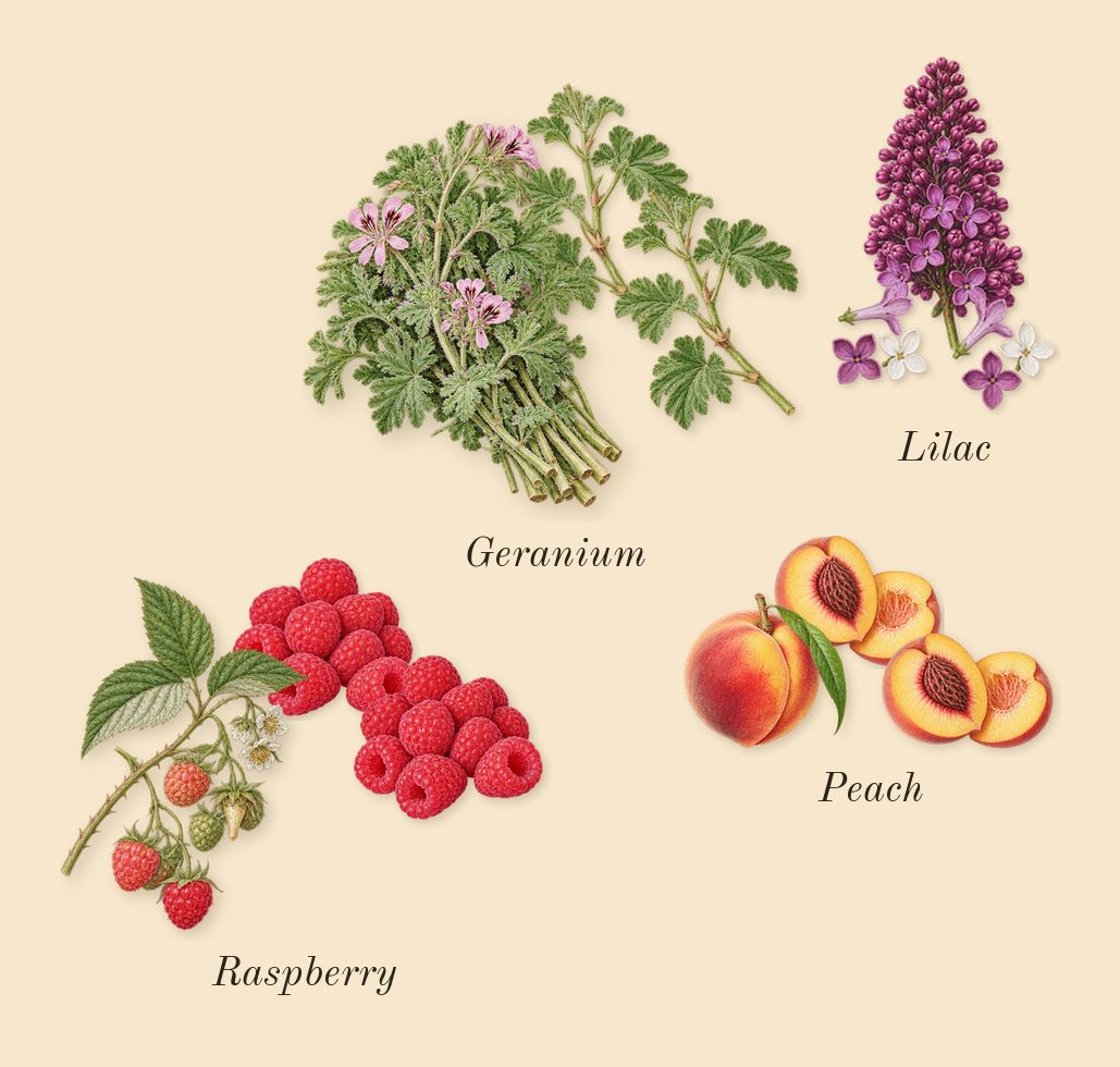 Guilty Pour Femme, heart: Lilac, Peach, Raspberry, Geranium