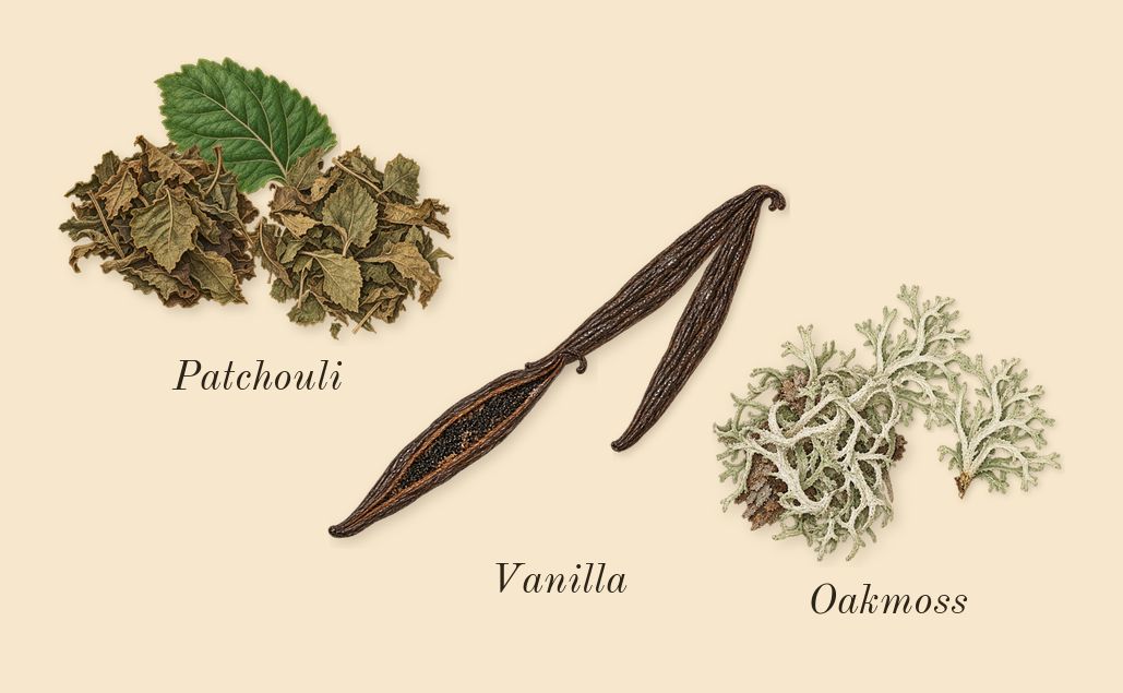 Rush, dry-down: Patchouli, Vanilla, Oakmoss