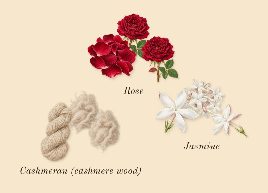 Rush, heart: Rose, Jasmine, Cashmeran (cashmere wood)