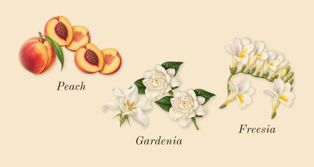 Rush, top notes: Freesia, Peach, Gardenia