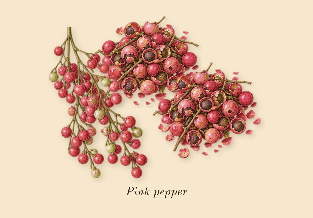 Angélique Noire, top notes: Pink pepper