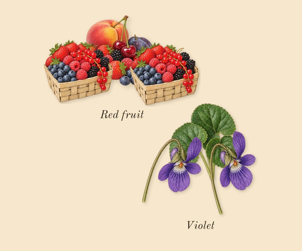 Insolence, top notes: Violet, Red fruit