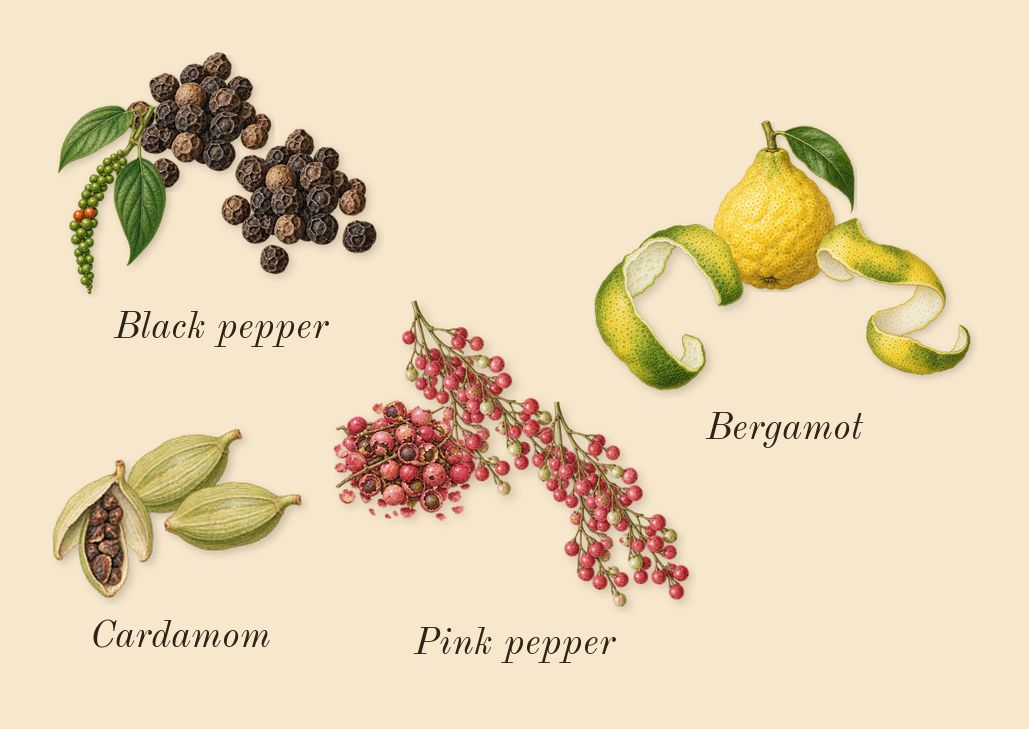 Mitsouko, top notes: Black pepper, Cardamom, Pink pepper, Bergamot
