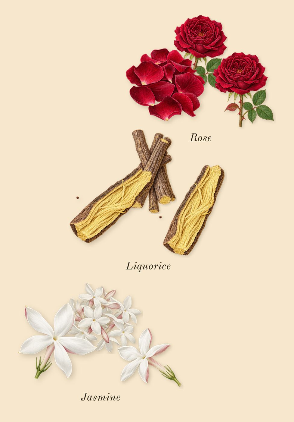 Mon Guerlain Intense, heart: Jasmine, Rose, Liquorice