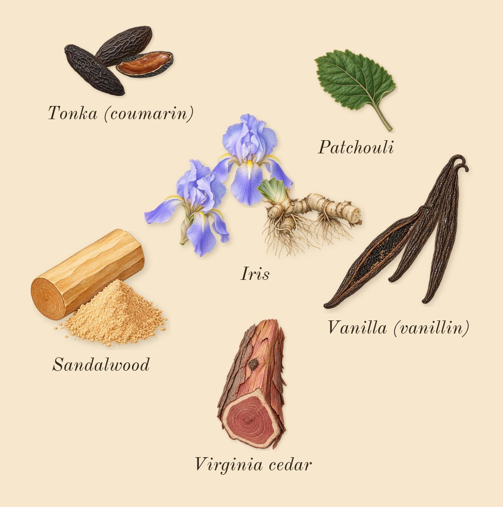 Shalimar, dry-down: Iris, Vanilla (vanillin), Tonka (coumarin), Patchouli, Sandalwood, Virginia cedar