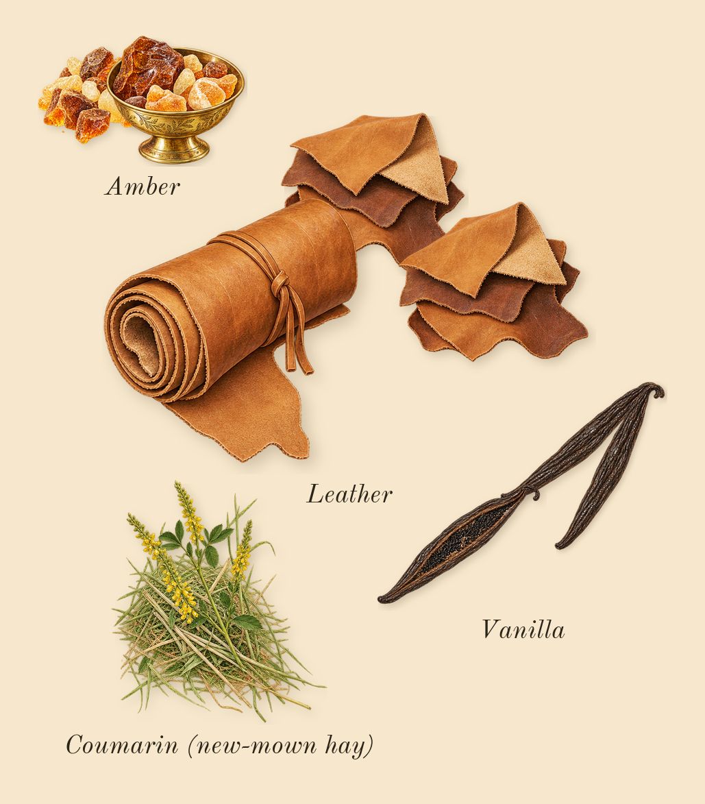 Shalimar L'Essence, dry-down: Amber, Vanilla, Leather, Coumarin (new-mown hay)