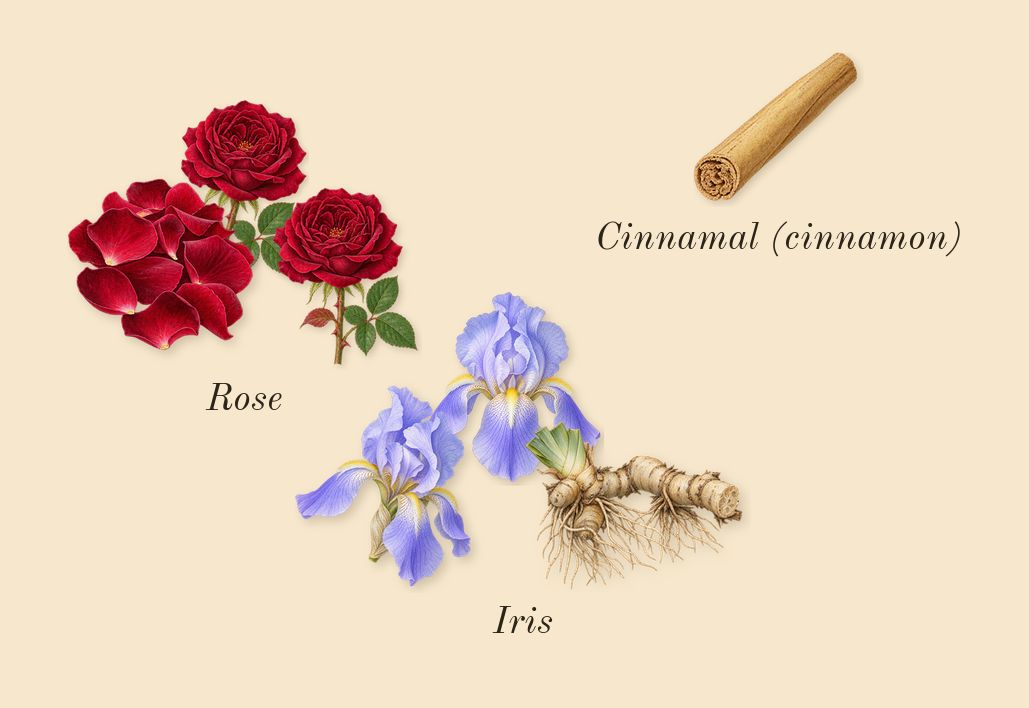 Shalimar L'Essence, heart: Rose, Iris, Cinnamal (cinnamon)