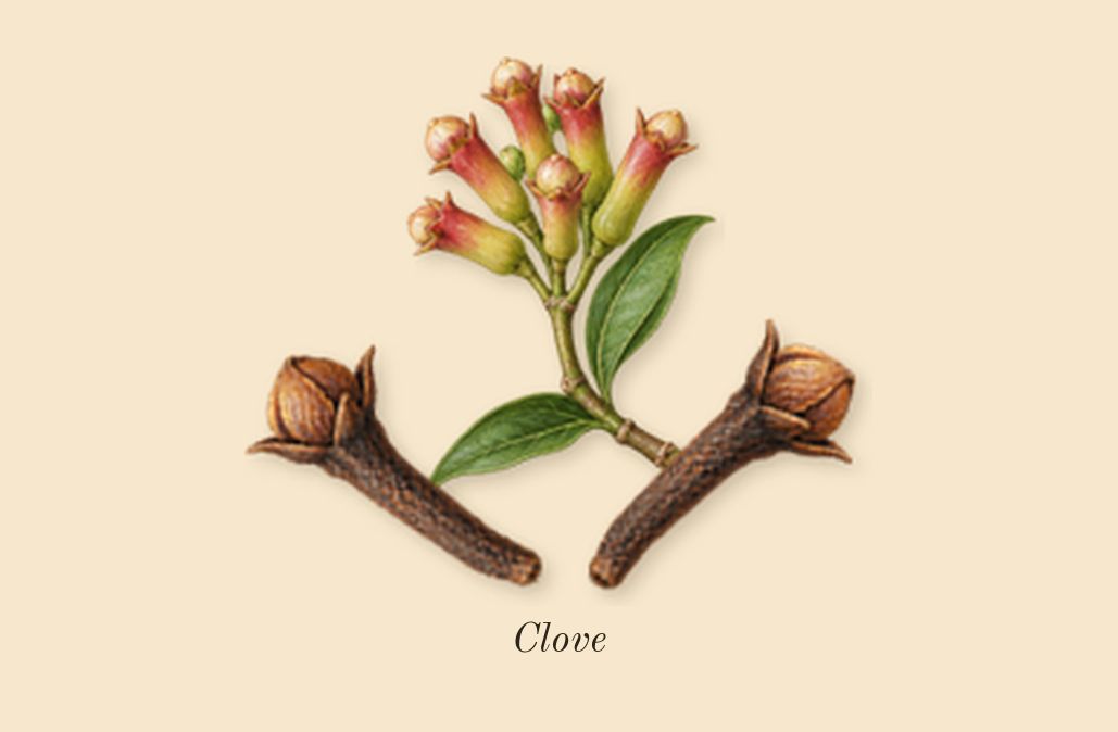 Tobacco Honey, heart: Clove