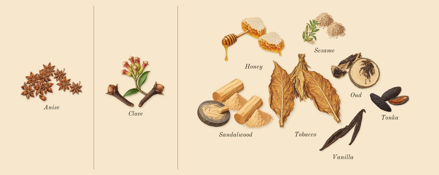 Tobacco Honey’s scent picture, a draft: tobacco, vanilla, tonka, sesame, honey, anise drawn so far; dashed outlines where nothing is drawn yet