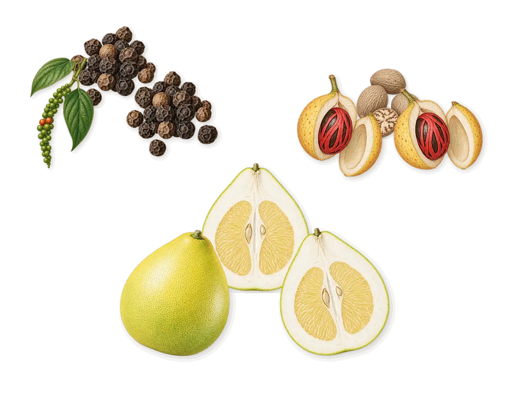 Seductive Homme Noir, when you spray it: Black pepper, Pomelo, Nutmeg