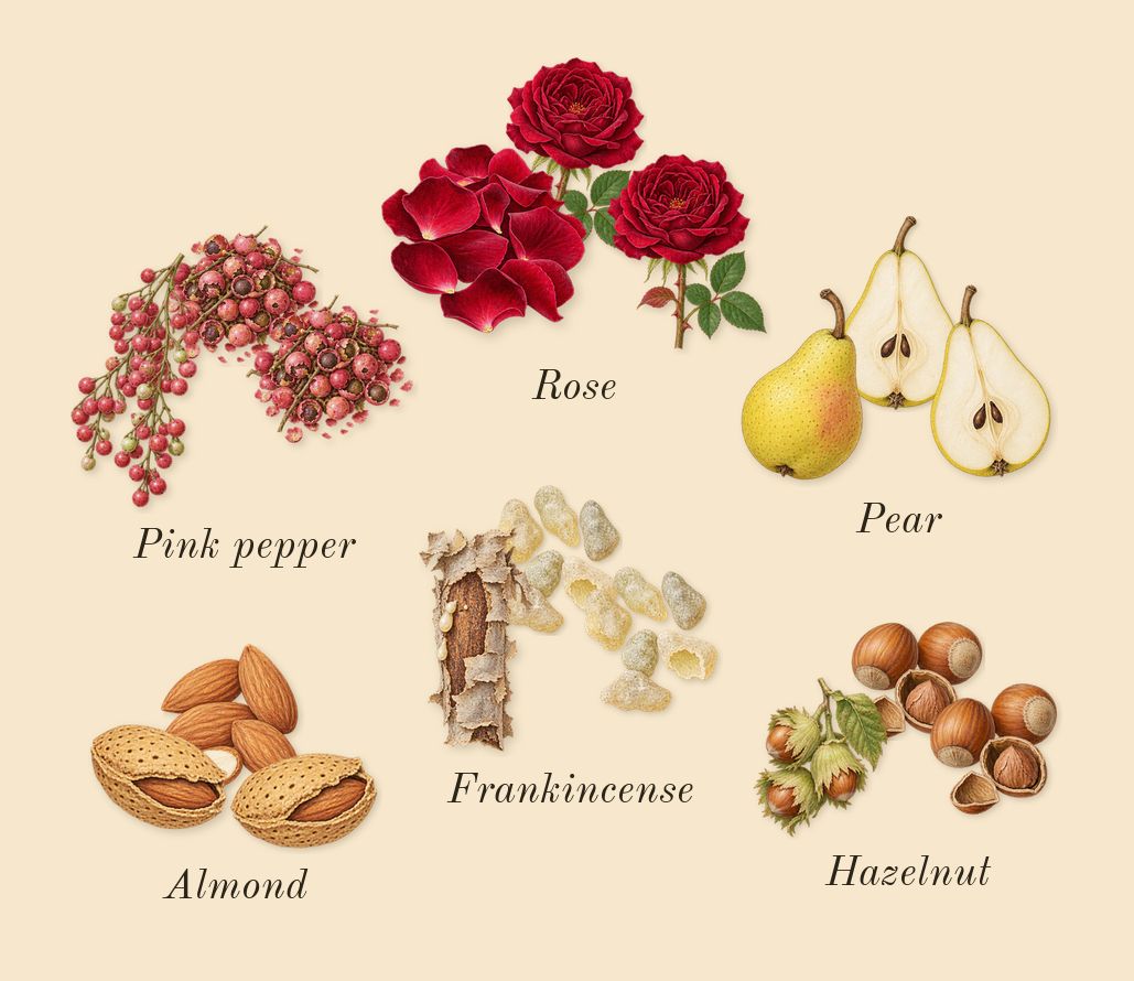 Guidance 46, top notes: Pear, Frankincense, Hazelnut, Rose, Pink pepper, Almond