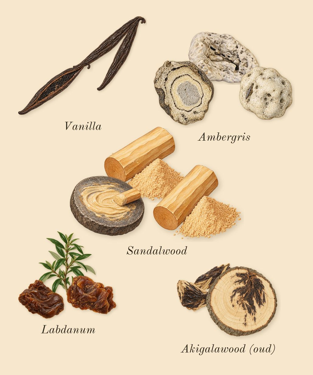 Guidance, dry-down: Labdanum, Sandalwood, Akigalawood (oud), Ambergris, Vanilla