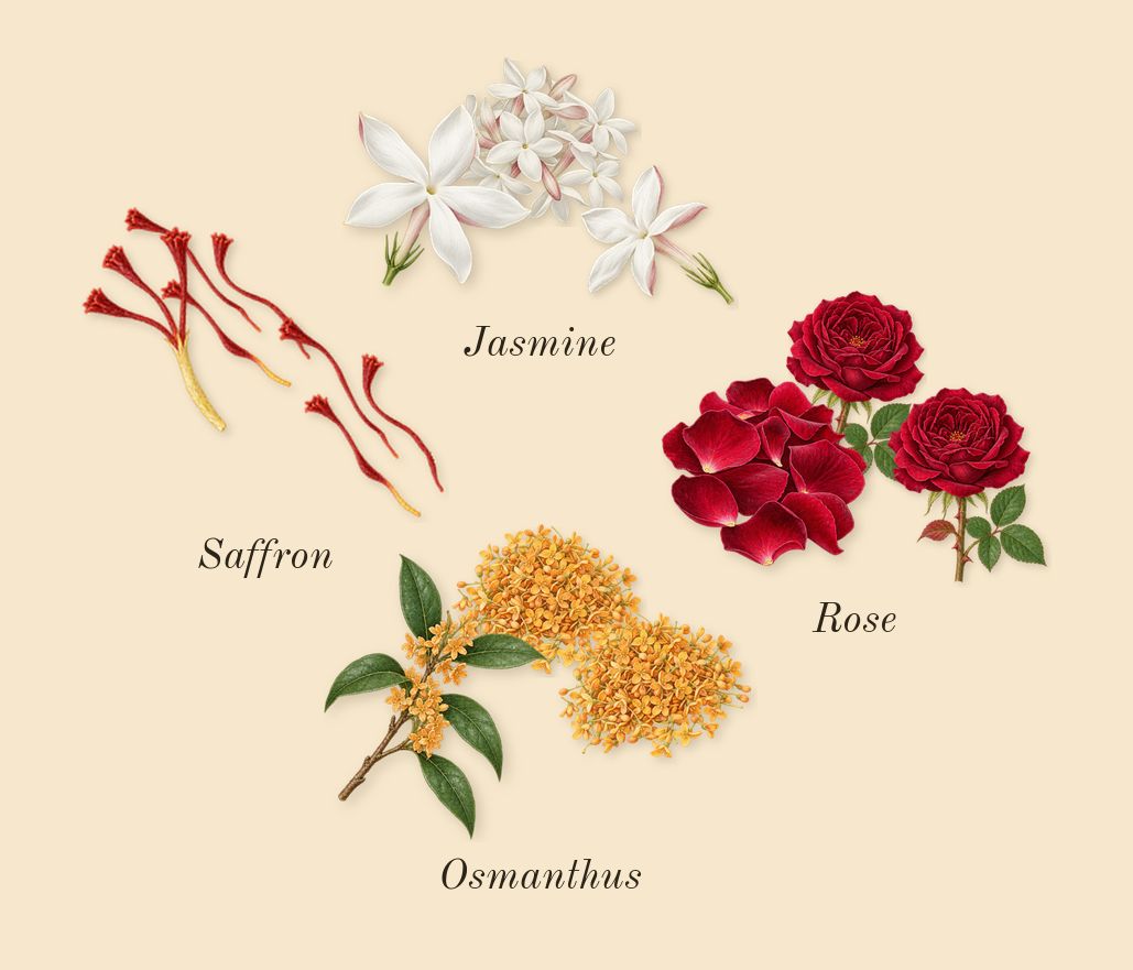 Guidance, heart: Saffron, Rose, Jasmine, Osmanthus